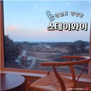 동호팜 | 강원도 여행 숙소 양양 호텔 추천 신축 하조대 숙소 스테이와이