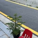 나의새탁소 이미지