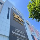 난자채취 후 증상 후기 (난소부음, PGT 검사)