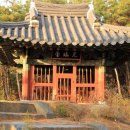 탑동천 Daum카페