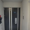 신봉2로 이미지