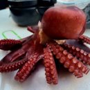 이웃사촌 작은도서관 이미지