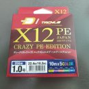디아이플렉스 | 12합사 디아이태클 DI TACKLE X12