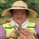 재주농장 이미지