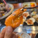 마니마니식당 | 싱싱함이 가득했던 대천 맛집, 마니마니조개구이 솔직 후기