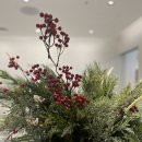 성우축산 | [DAILY]11월의 첫째 날/덕수궁돌담길 단풍, 롯데백화점 크리스마스트리 그리고 한우와 송이로 마무리까지