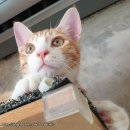 오주종합동물병원 이미지