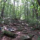 대야산자연휴양림 이미지