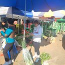 대전노은농수산물시장 김장꺼리사는 주부들 이미지