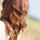 바람의기억 이미지