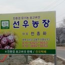 정표농장 이미지