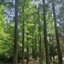 청담고등학교를 소개합니다. 이미지