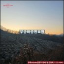 무궁화공원 | 장례마스터 염쟁이강씨의 양평 무궁화공원 묘원 묘지개장 후기와 지자체 화장 보조금!!!