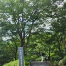 비슬산유스호스텔 | 대구 달성군 비슬산 계곡 무료 피크닉장 이용 후기