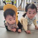 삼월 이미지