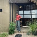 잠뱅이 | 핏감 좋은 여자 여름 청바지 가성비 브랜드 추천 잠뱅이 착용후기