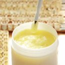 한국의 산삼과 상황버섯 이미지