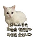 운동화빨래망 운동화세탁망 국민필터