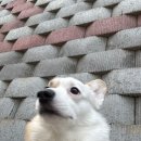 5월 생존일지