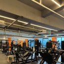 힙앤업휘트니스 이미지