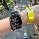 지내신리 1,2길 갈림길 입구 | 5번째 청계산 등산코스 매봉 옥녀봉 시간 비교, 맛집 정리