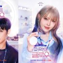 영 스토어 bnt뉴스