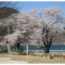 고제(주)