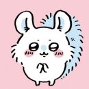모몽가