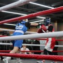 용인대SM복싱클럽 이미지