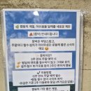 체스 | (46th camping) 우니메이카 장흥점. A2 캠핑