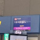 407 | 스페인 바르셀로나 티웨이 직항 TW407 기내식 후기(폭찹스테이크, 소고기죽)