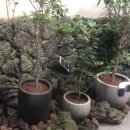 STAY1METER 이미지