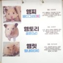 조치원주차타워 1층 쉼터 | 냥쿤하우스 광주 북구 고양이카페 솔직 자세한 후기 아이와 함께