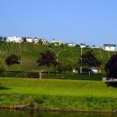 모젤(moselle)