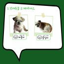 올케어포유 이미지