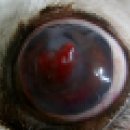 삼성종합동물병원 이미지