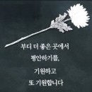 우리다시 만날때까지 이미지