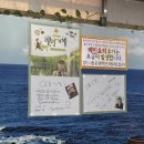 고흥식당 - 시흥시 공단2대로 142 | 안양 고흥식당 전라도 한정식 백반기행에 나온 백반 내돈내산 후기