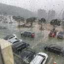 안민고개길 이미지