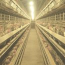 성진농장 이미지