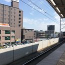 주식회사 엘사컴퍼니 | 도쿄여행 #3. 감동의 디즈니 랜드: 퍼레이드, 어트랙션 후기 그리고 불꽃놀이