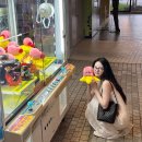 패션신시