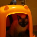 모래울화장실 이미지