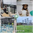댕댕클럽 | 강원도_댕댕클럽 애견카페 다녀온 후기