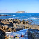 제즐리 | [제주도 2주살기]연동 mul 물카페 제주공항근처 이색기념물 화산암바수 해양심층수 워터젤리