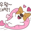 무한골프연습장 이미지