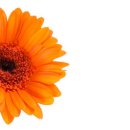 당근온누리약국 이미지