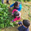 연세농장 이미지