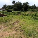 초월읍-10 이미지