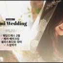 더웨딩샐리웨딩